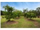 1 Windamere Place, Old Bar NSW 2430
