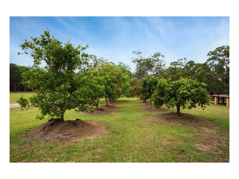 1 Windamere Place, Old Bar NSW 2430