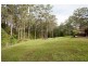 11 Rainforest Drive, Mitchells Island NSW 2430