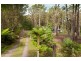 11 Rainforest Drive, Mitchells Island NSW 2430