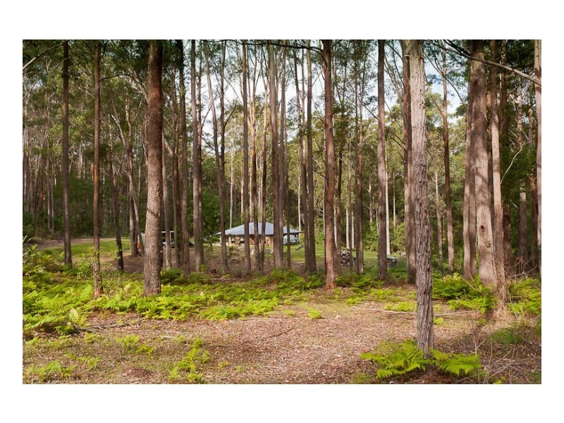 11 Rainforest Drive, Mitchells Island NSW 2430