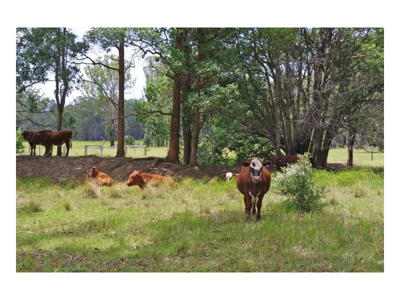 86 Old Bar Road, Taree NSW 2430