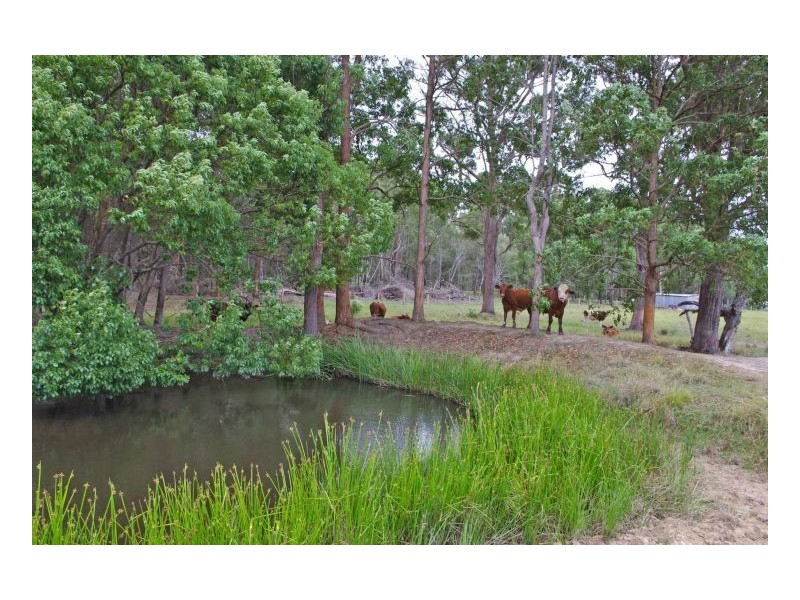 86 Old Bar Road, Taree NSW 2430
