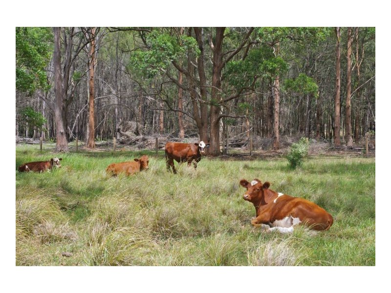 86 Old Bar Road, Taree NSW 2430