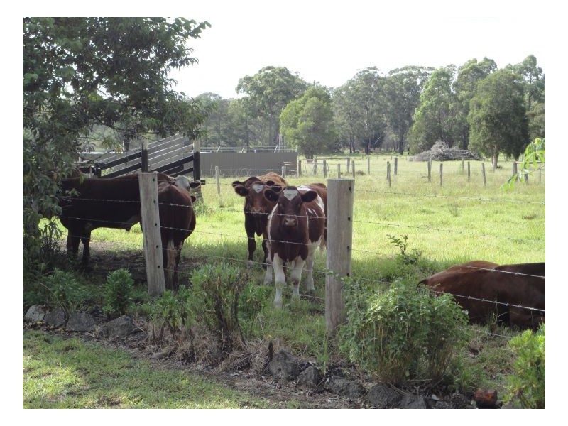 86 Old Bar Road, Taree NSW 2430