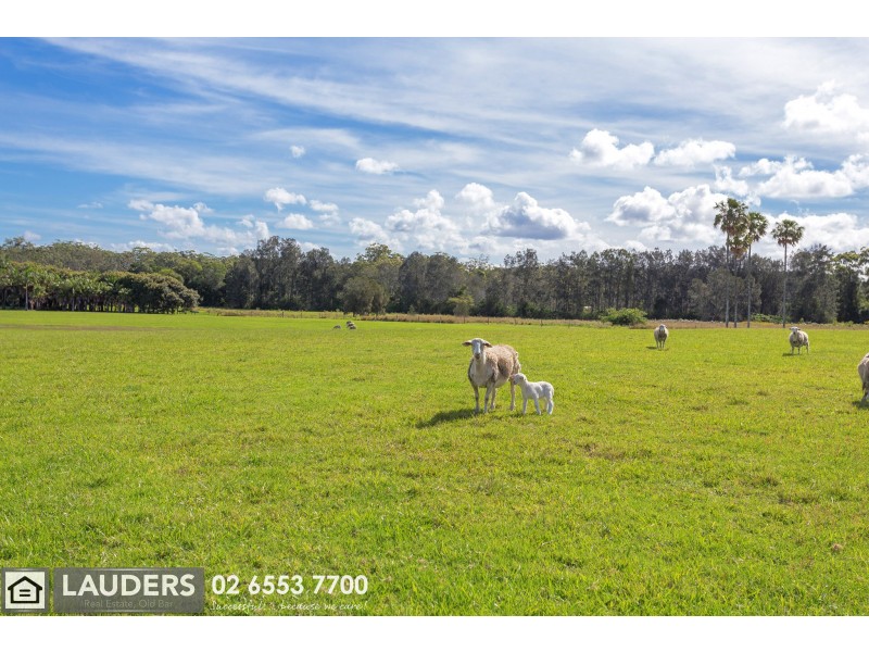 Lot 134 Cabbage Tree Island, Old Bar NSW 2430