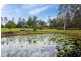 2576 Wallanbah Road, Firefly NSW 2429
