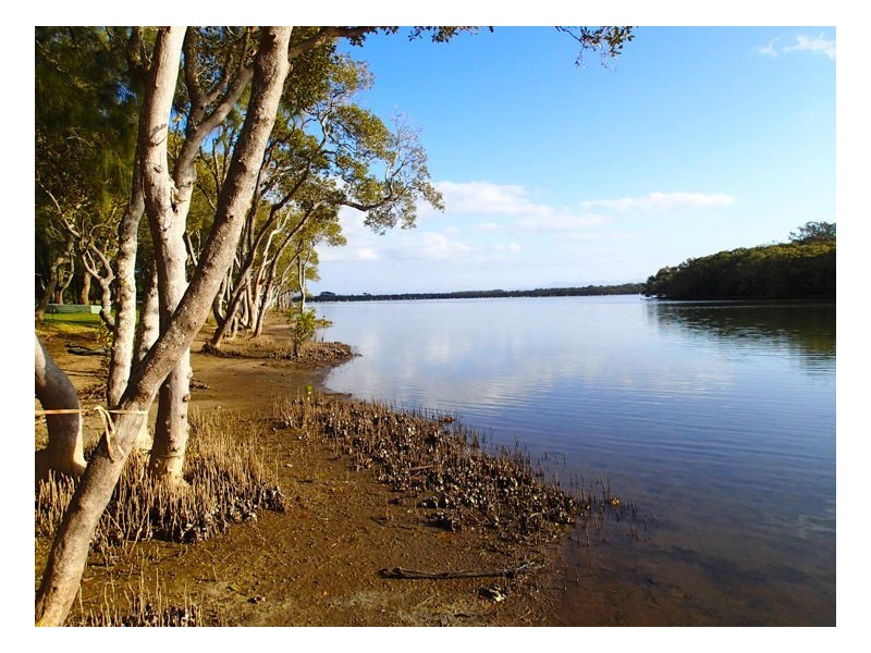 1675 Manning Point Road, Manning Point NSW 2430