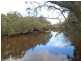 1675 Manning Point Road, Manning Point NSW 2430