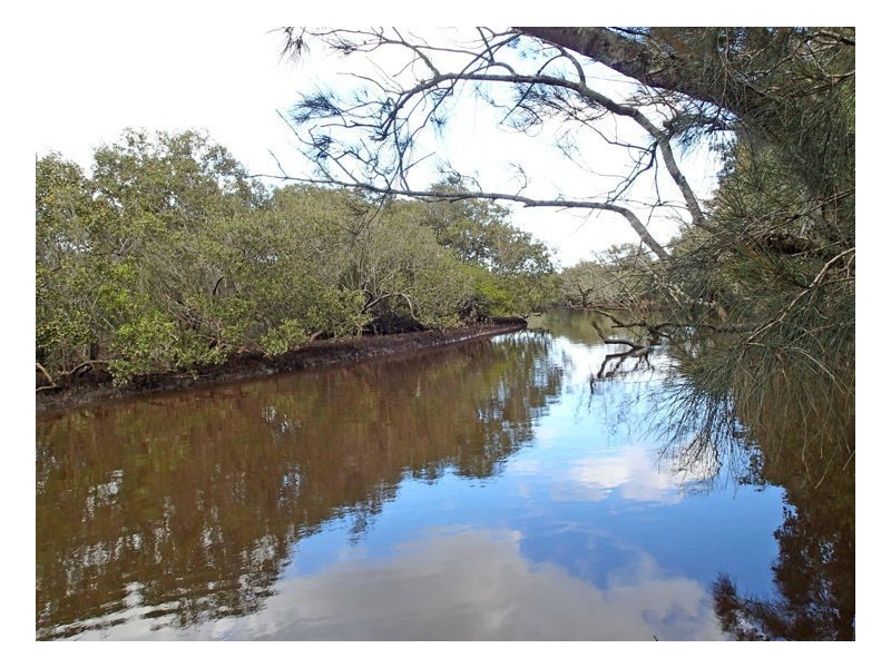1675 Manning Point Road, Manning Point NSW 2430