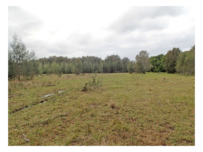 1675 Manning Point Road, Manning Point NSW 2430