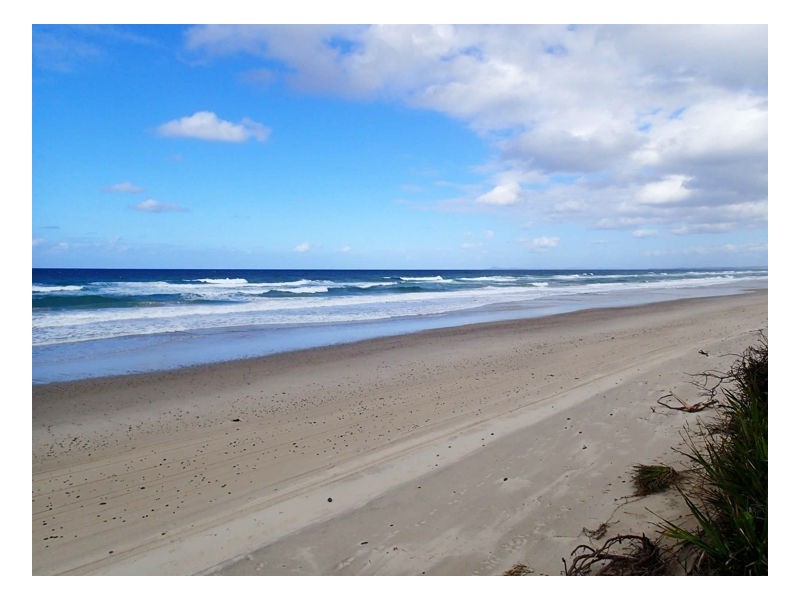 1675 Manning Point Road, Manning Point NSW 2430
