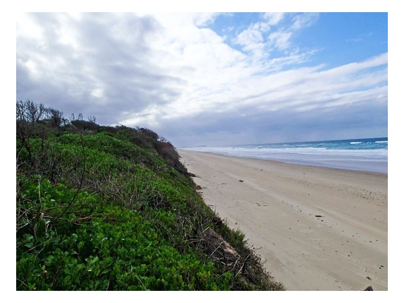1675 Manning Point Road, Manning Point NSW 2430