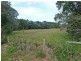 1675 Manning Point Road, Manning Point NSW 2430
