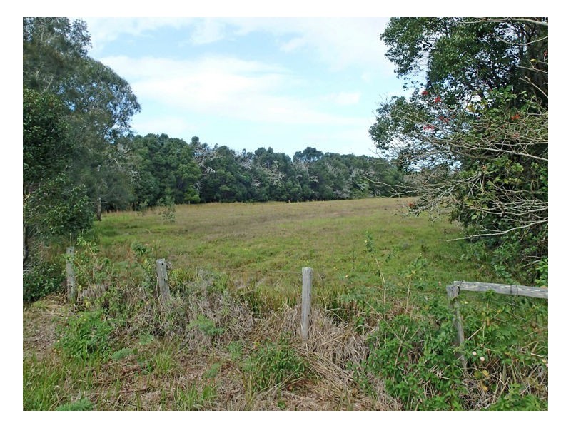 1675 Manning Point Road, Manning Point NSW 2430