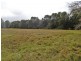 1675 Manning Point Road, Manning Point NSW 2430