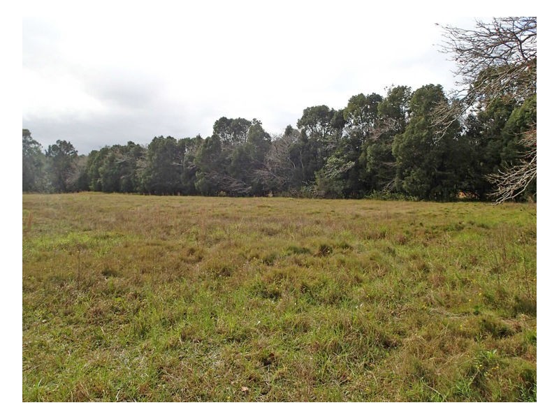 1675 Manning Point Road, Manning Point NSW 2430