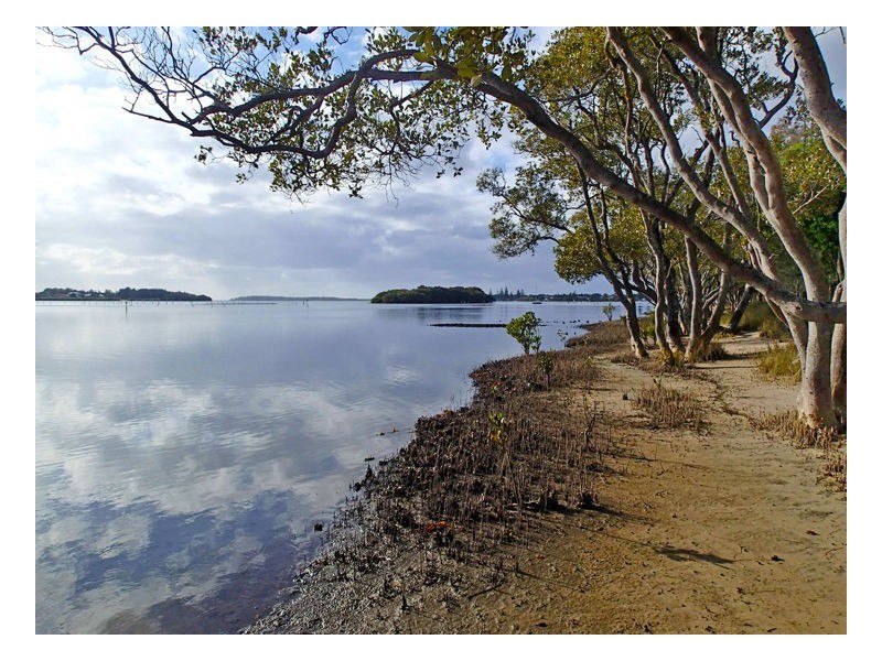1675 Manning Point Road, Manning Point NSW 2430