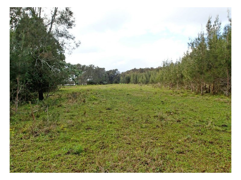 1675 Manning Point Road, Manning Point NSW 2430