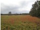 1675 Manning Point Road, Manning Point NSW 2430