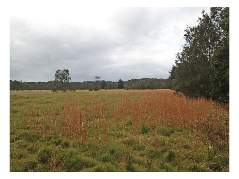 1675 Manning Point Road, Manning Point NSW 2430