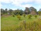 1675 Manning Point Road, Manning Point NSW 2430