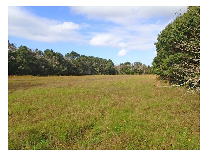 1675 Manning Point Road, Manning Point NSW 2430