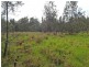 1675 Manning Point Road, Manning Point NSW 2430
