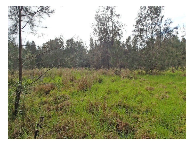 1675 Manning Point Road, Manning Point NSW 2430
