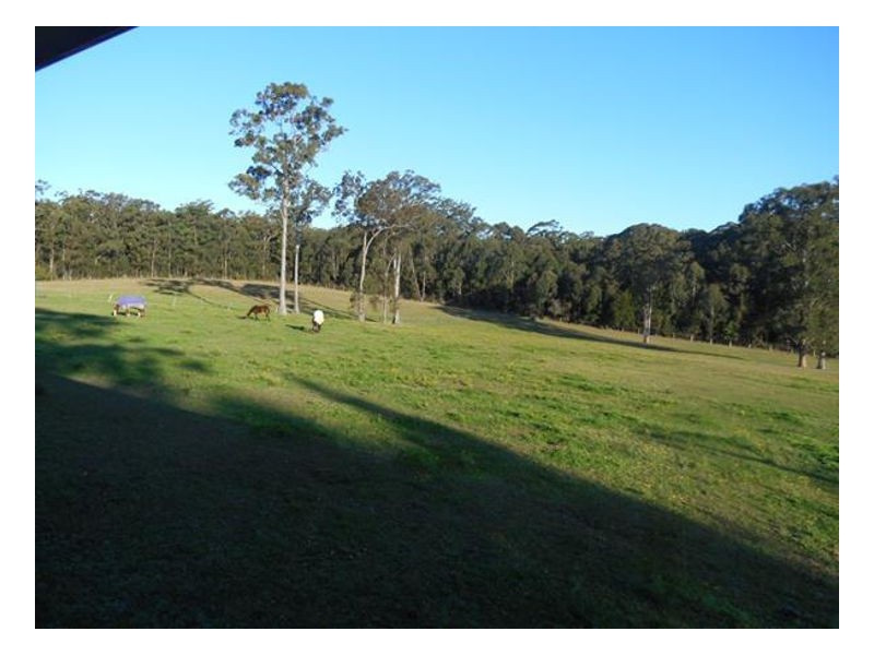 16 Ruprechts Road, Mitchells Island NSW 2430