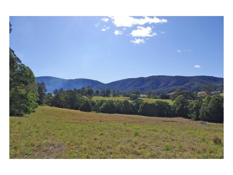 241 Kings Creek Road, Krambach NSW 2429