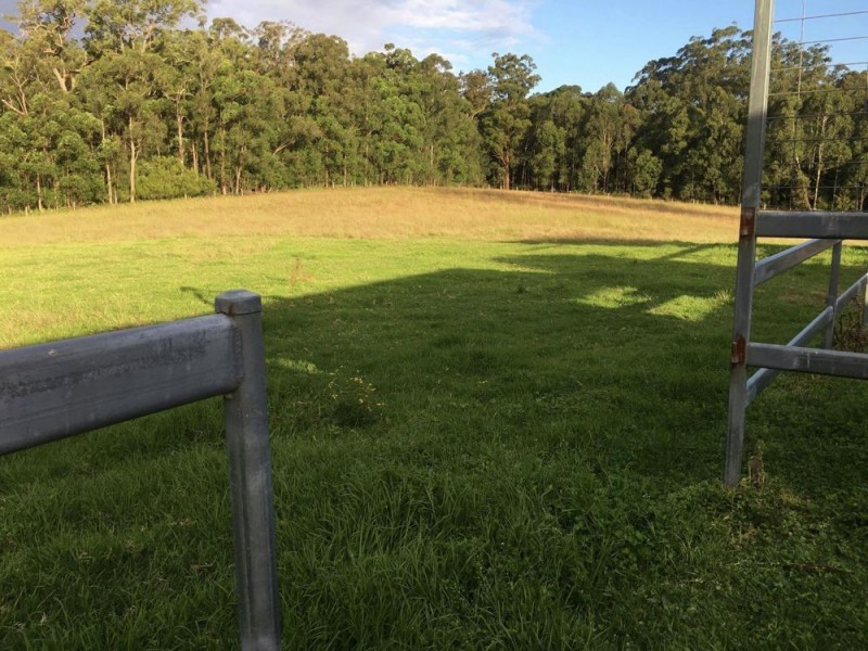 16 Ruprechts Road, Mitchells Island NSW 2430