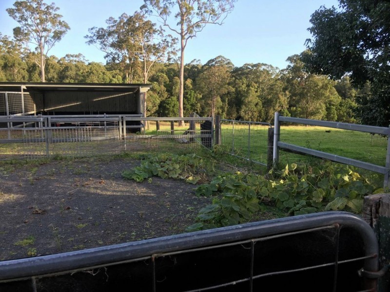 16 Ruprechts Road, Mitchells Island NSW 2430