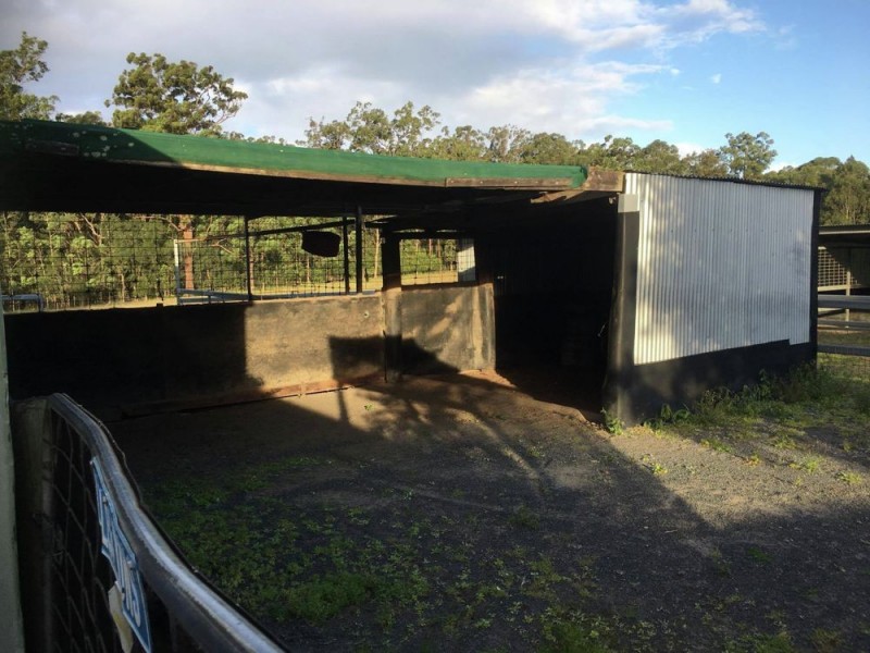 16 Ruprechts Road, Mitchells Island NSW 2430