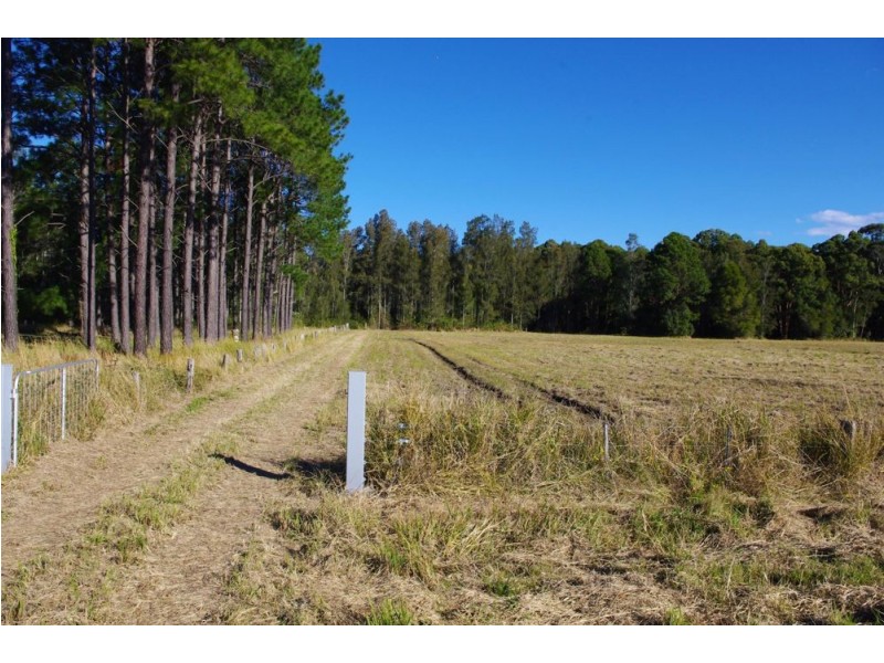 1332 Manning Point Road, Mitchells Island NSW 2430