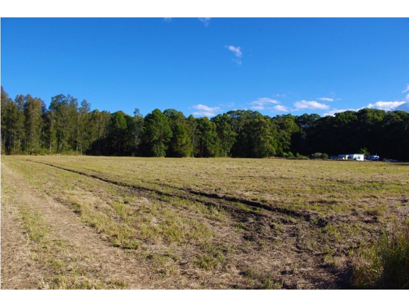 1332 Manning Point Road, Mitchells Island NSW 2430