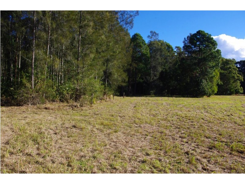 1332 Manning Point Road, Mitchells Island NSW 2430