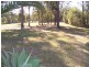 Mitchells Island NSW 2430