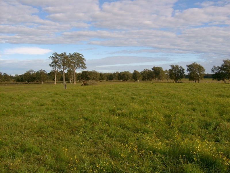 Oxley Island NSW 2430