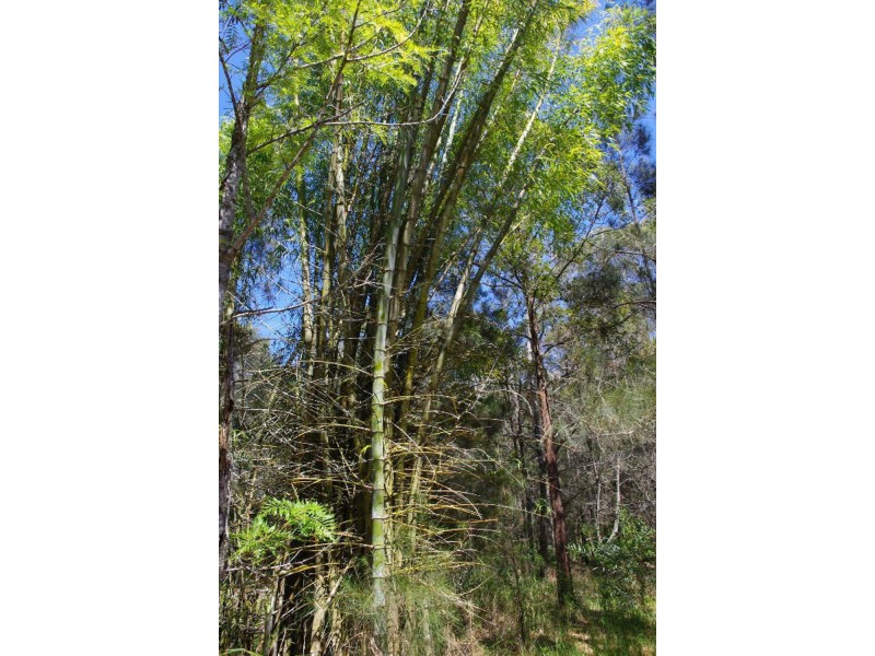 122 Heron Road, Old Bar NSW 2430