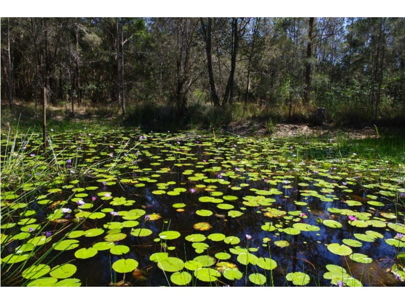 122 Heron Road, Old Bar NSW 2430