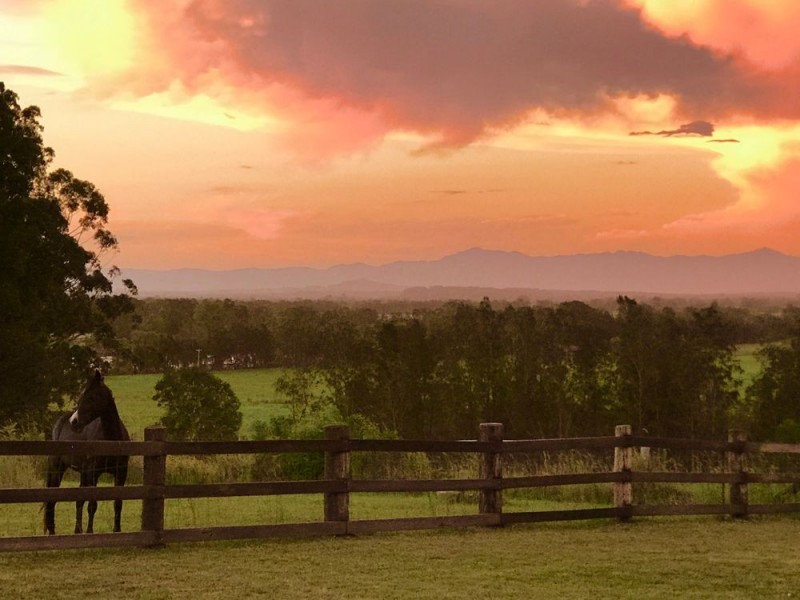 16 St Marks Lane, Old Bar NSW 2430