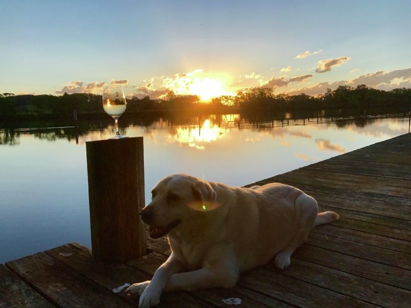 16 St Marks Lane, Mitchells Island NSW 2430