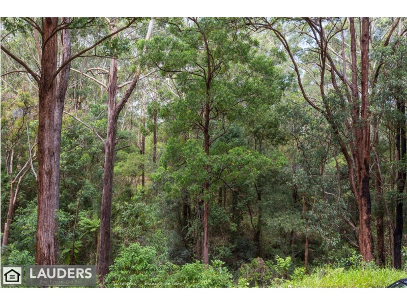 9 Rainforest Drive, Mitchells Island NSW 2430