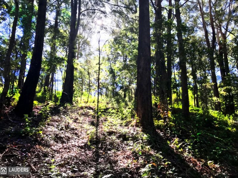 6 Scotts Road, Mitchells Island NSW 2430