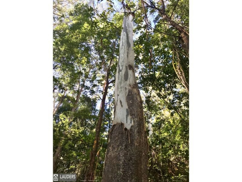 6 Scotts Road, Mitchells Island NSW 2430