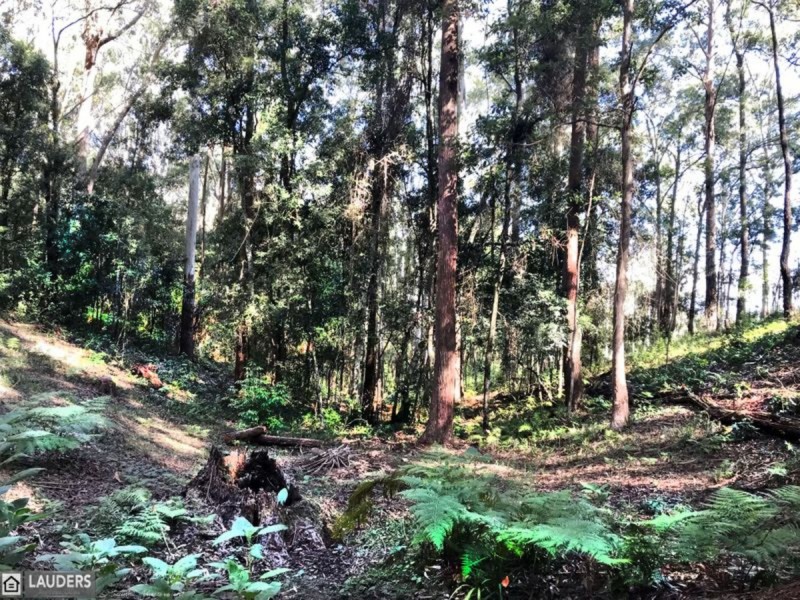 6 Scotts Road, Mitchells Island NSW 2430