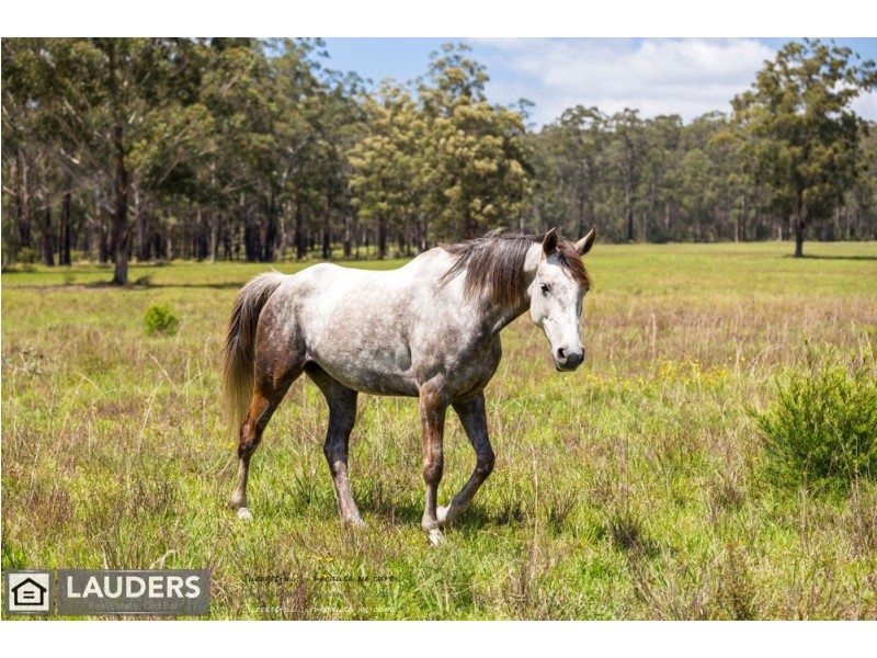 86 Old Bar Road, Taree NSW 2430