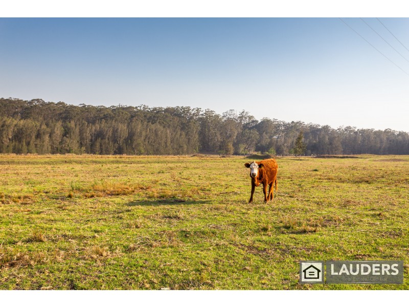 76 Ruprechts Road, Mitchells Island NSW 2430