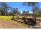 58 Pampoolah Road, Pampoolah NSW 2430